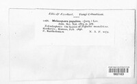 Image Associated With the Occurence